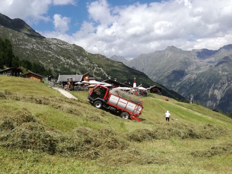 Feldarbeiten auf der Alm