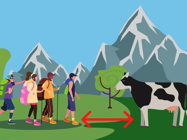 Pictorial representation of the rules of conduct with grazing livestock