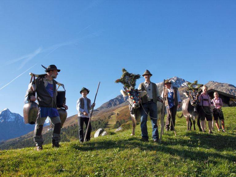 Die Familie Wandern mit den geschmützten Kühe zurück zur Alm
