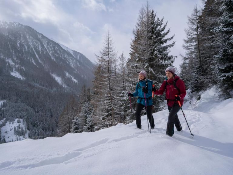 Two people walking in the snow with sticks